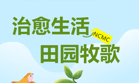 公司里的田园牧歌丨这片隐藏的小农场治愈我们的生活~