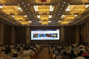 2018年度中国石油和化学工业联合会科技工作会议 暨石油和化工行业知识产权论坛