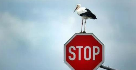 全球经济“暂停”，化工行业或面临有史以来最严重需求危机